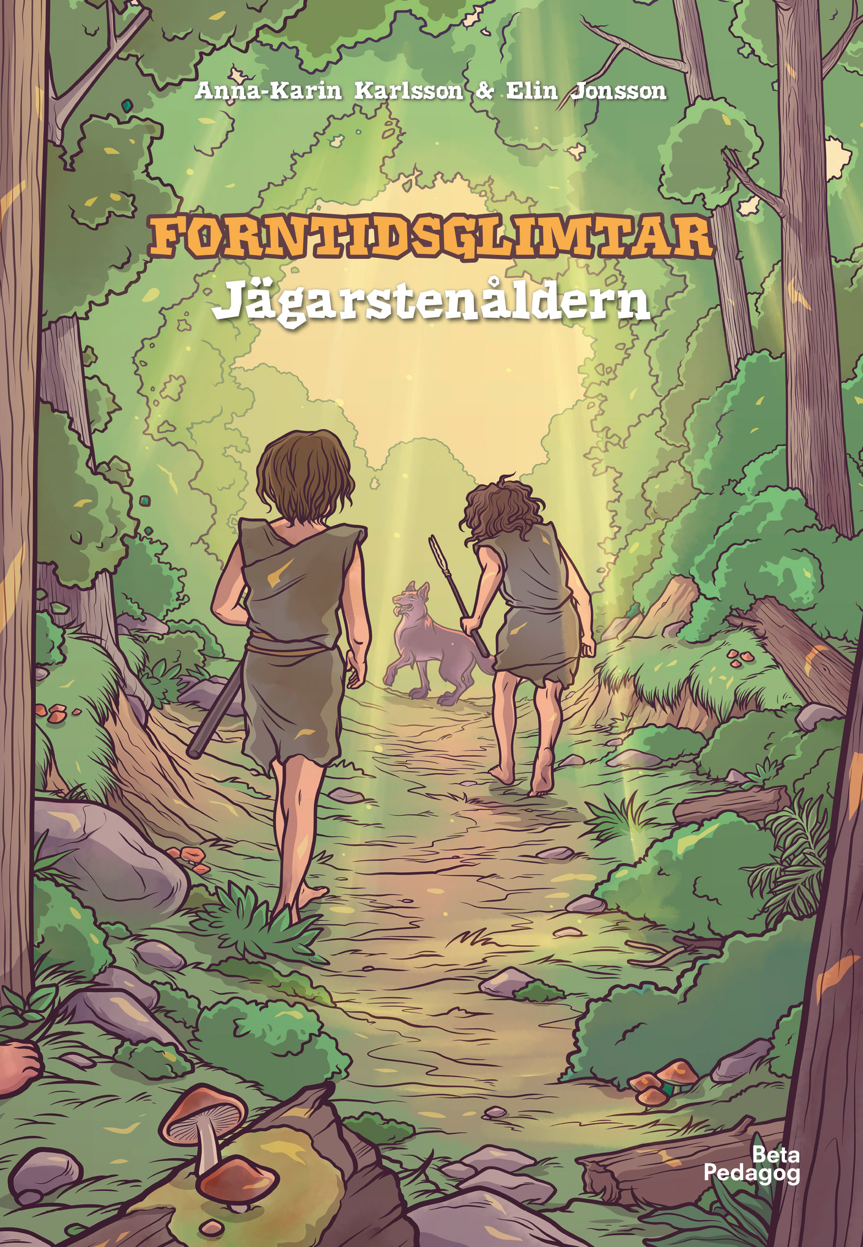 Omslag: Jägarstenåldern