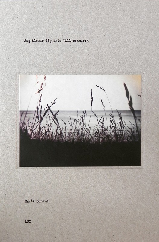 Omslag: Jag älskar dig ända till sommaren