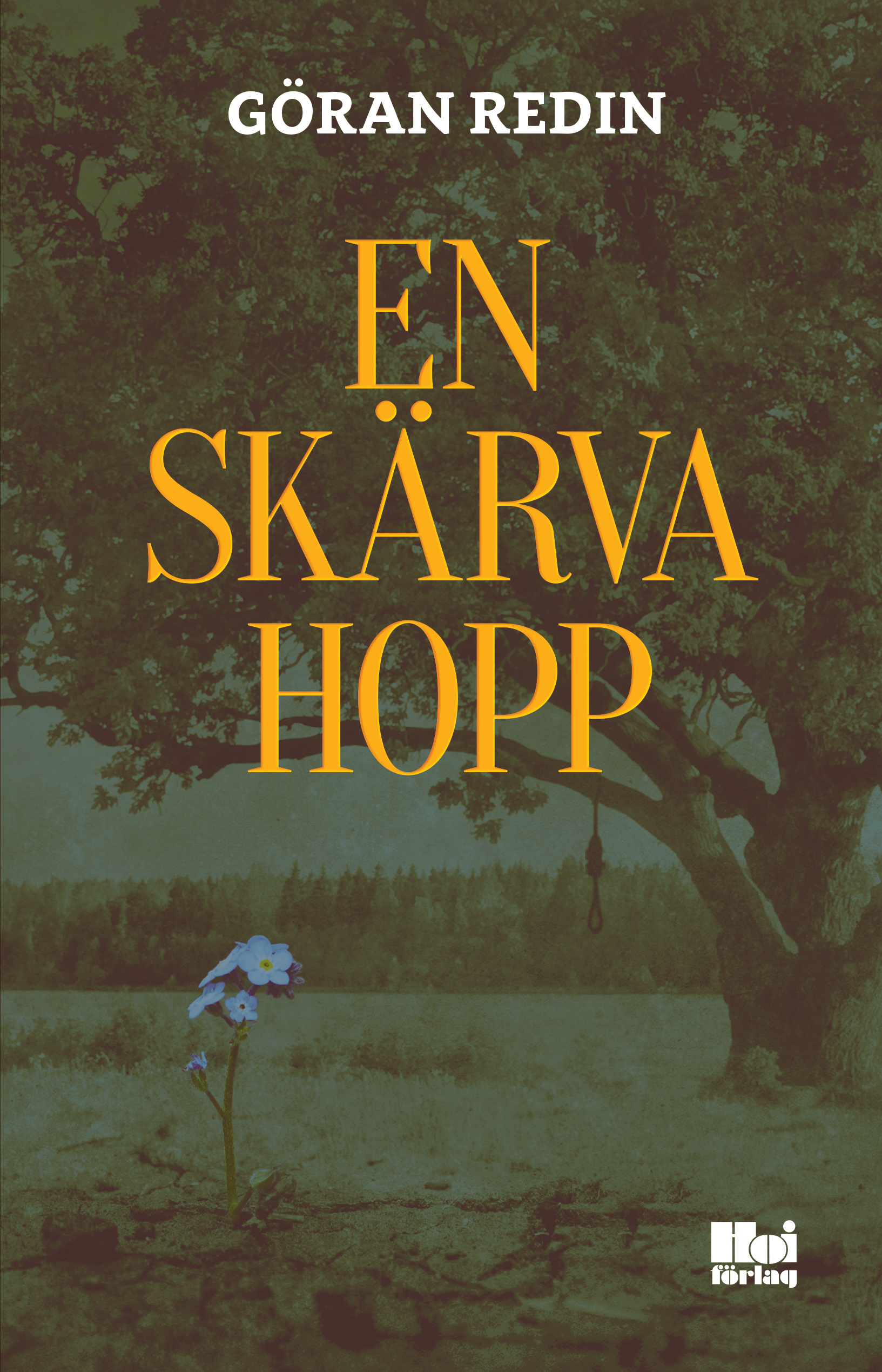 Omslag: En skärva hopp