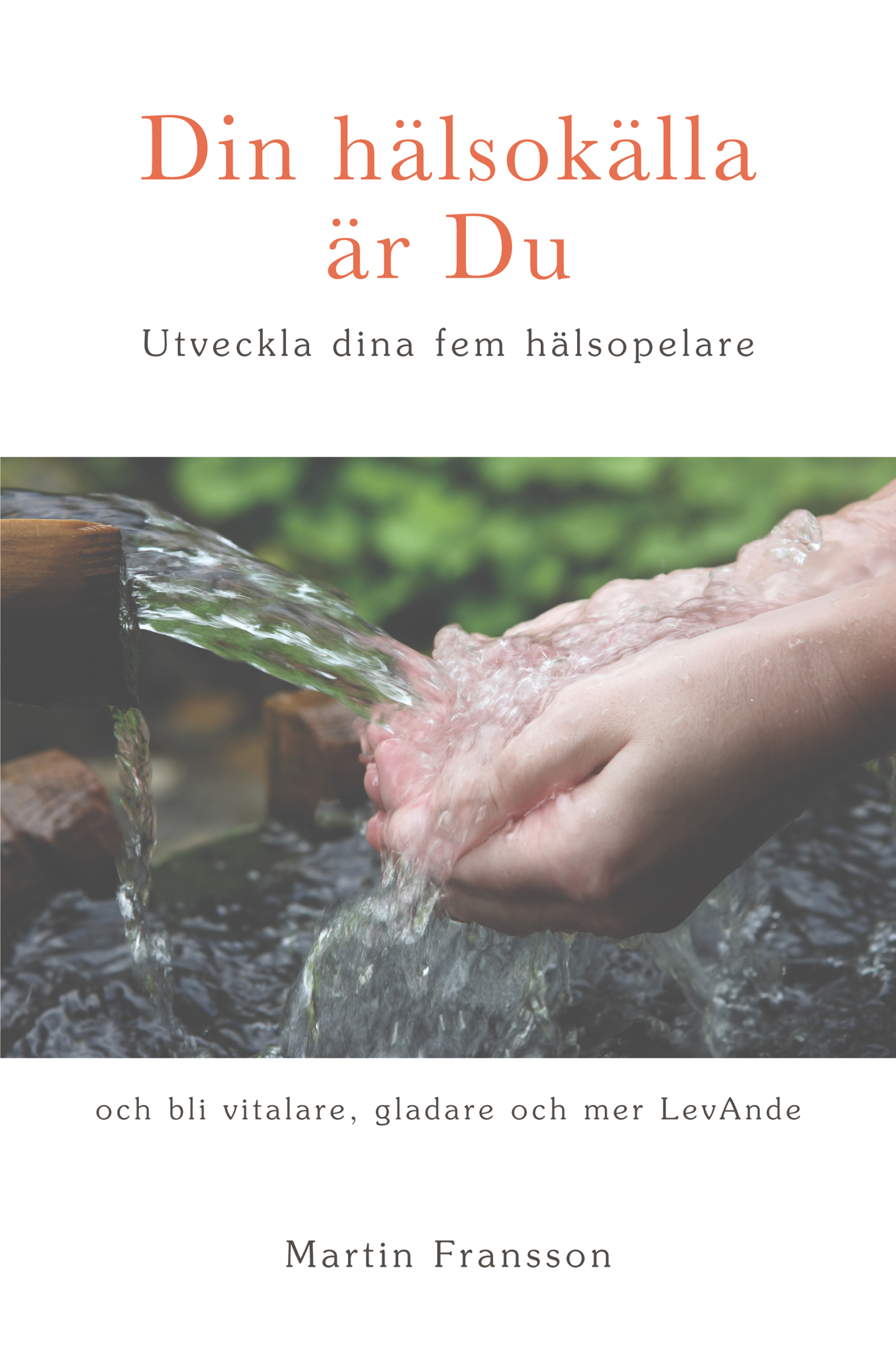 Omslag: Din hälsokälla är Du -  Utveckla dina fem hälsopelare