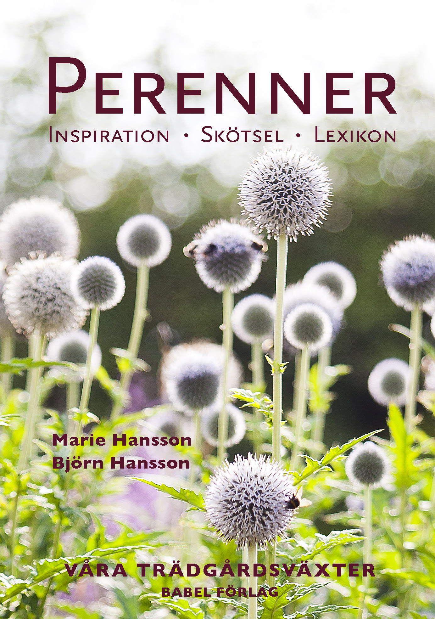 Omslag: Perenner : Inspiration - Skötsel - Lexikon