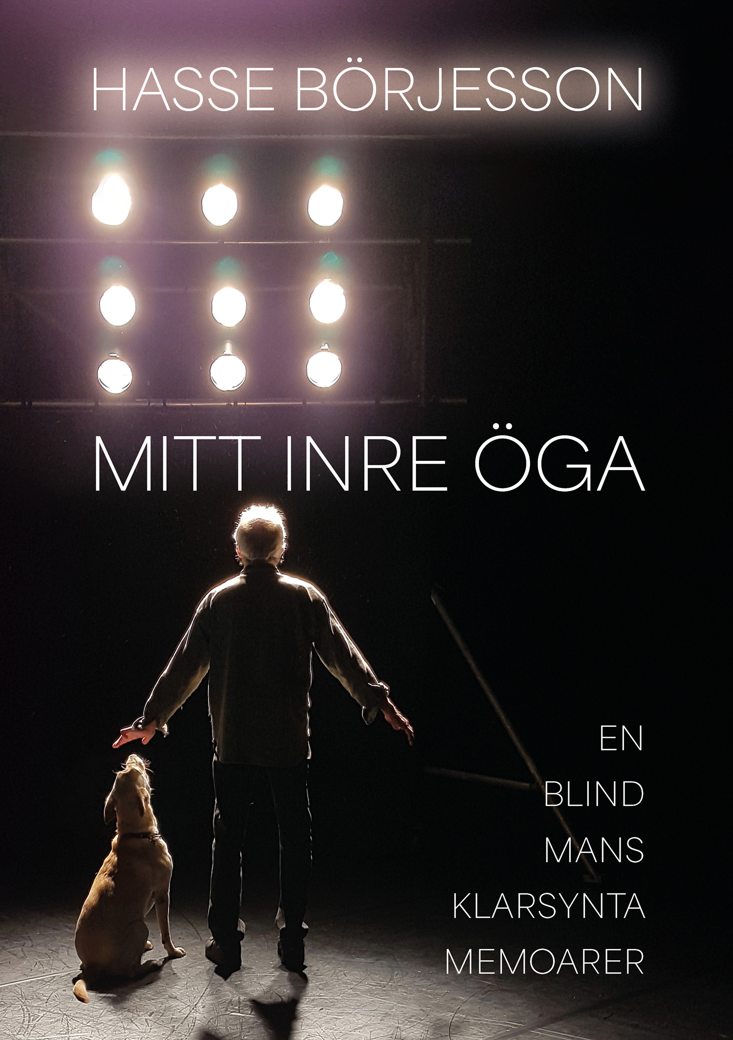 Omslag: Mitt inre öga : en blind mans klarsynta memoarer