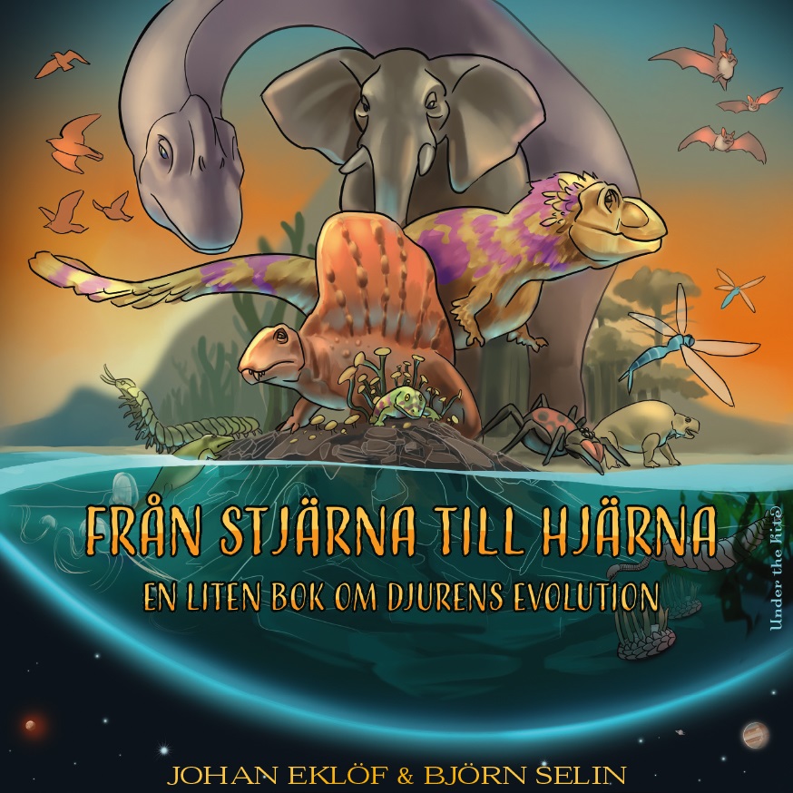 Omslag: Från stjärna till hjärna : en liten bok om djurens evolution